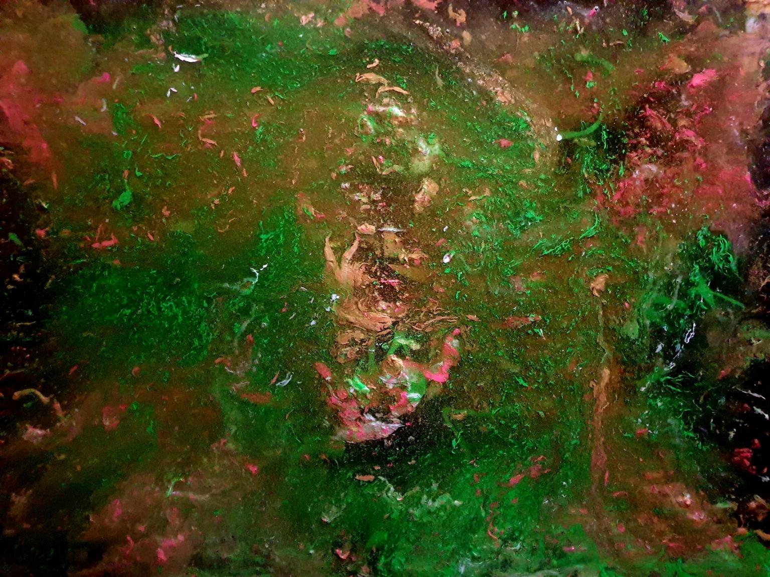 ArteDiAlina.com painting: seaweeds